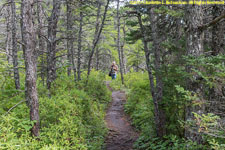 Paul on trail